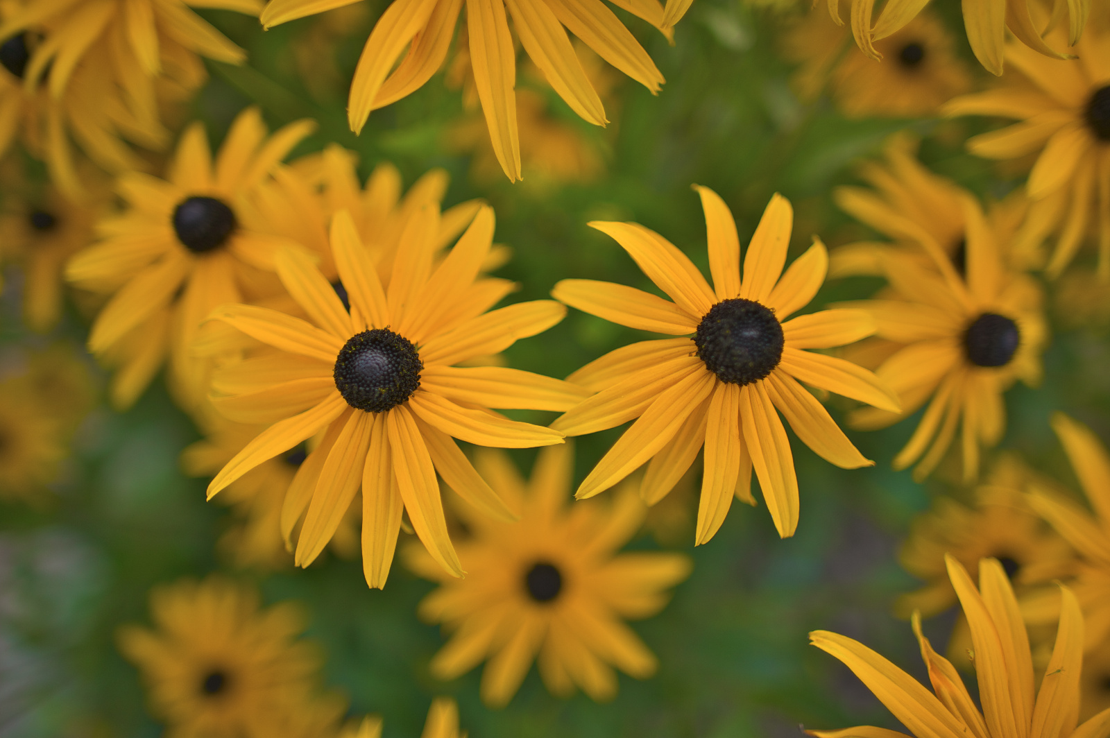 20DU3480 (41 von 138)   Arbeitskopie 3